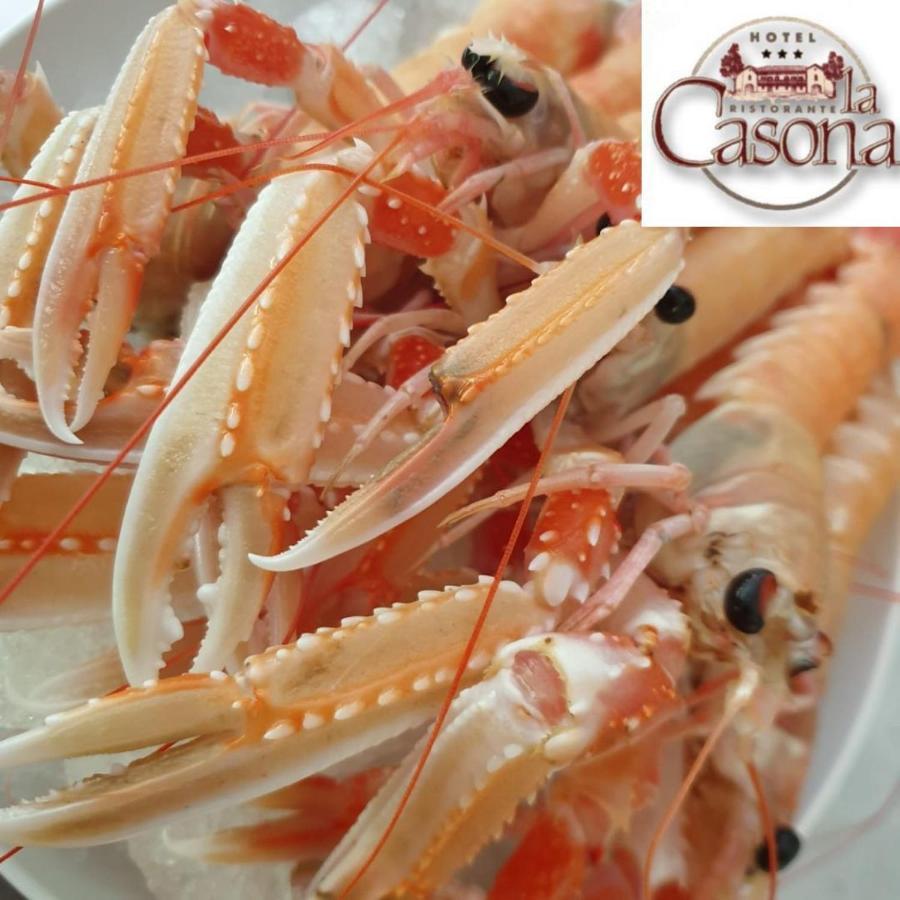 Hotel Ristorante La Casona Feltre Ngoại thất bức ảnh